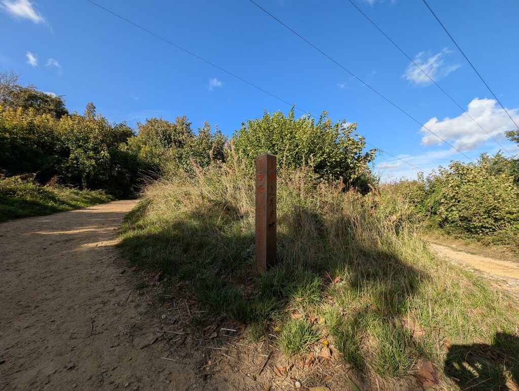 Poste indicador de madera con varias flechas de dirección en un sendero de montaña