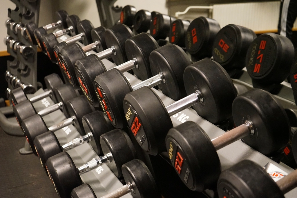 Estanter&iacute;a de mancuernas ordenadas por peso en una sala de musculaci&oacute;n vac&iacute;a